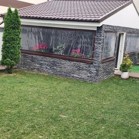 Casa Gogu Hotel Năvodari Eksteriør billede