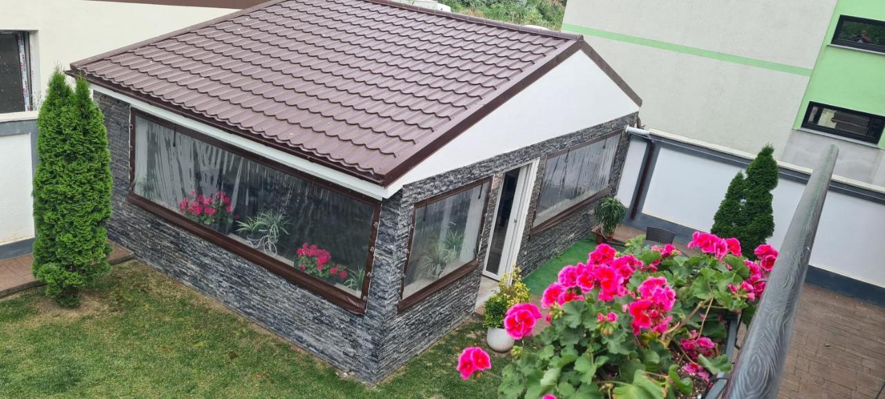 Casa Gogu Hotel Năvodari Eksteriør billede
